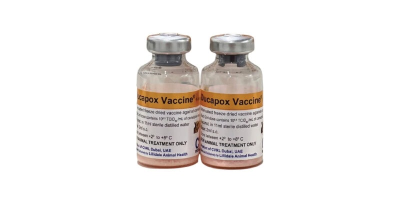 Ducapox vaccine