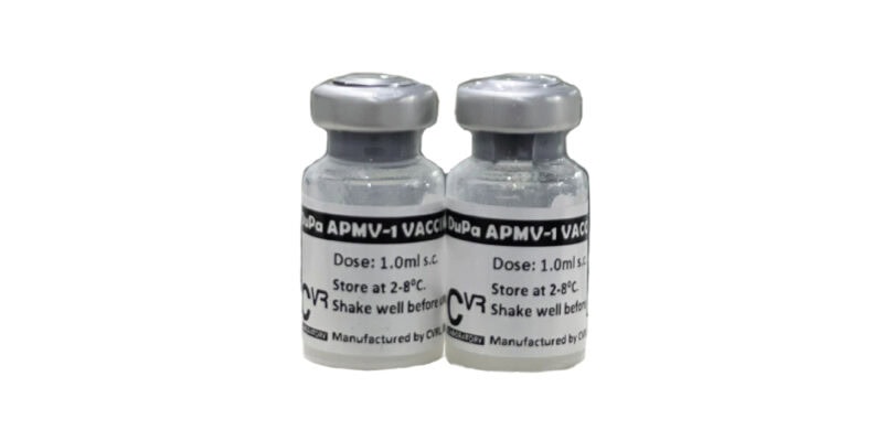 Dupa vaccine