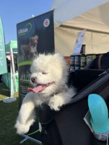 Lillidale Pet Parents Fest 2025