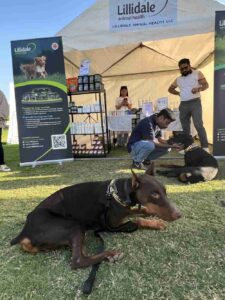 Lillidale Pet Parents Fest 2025