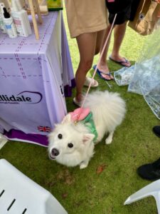 Alt Attribute Dogs and Me LAH