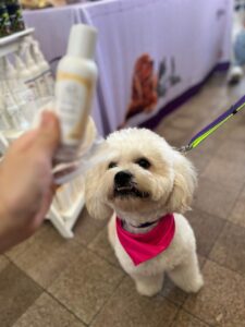 Alt Attribute Lillidale Animal Health at SingaPaw Weekend 60