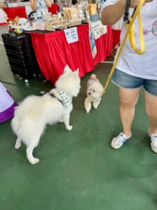 Nee Soon Pet Fiesta