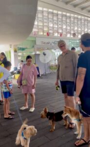 The Pawfect Journey Mid Autumn Pet Festival